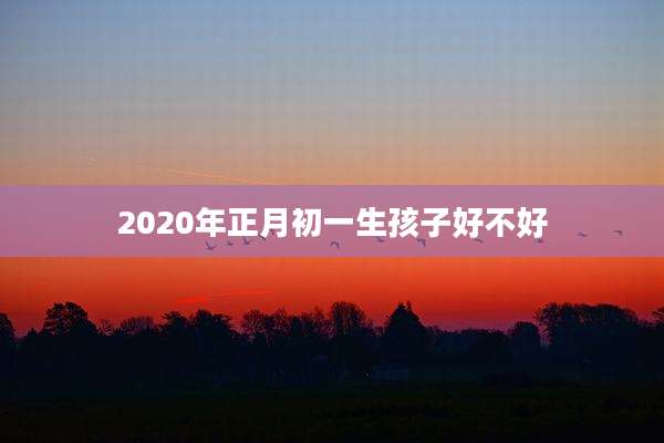 2020年正月初一生孩子好不好