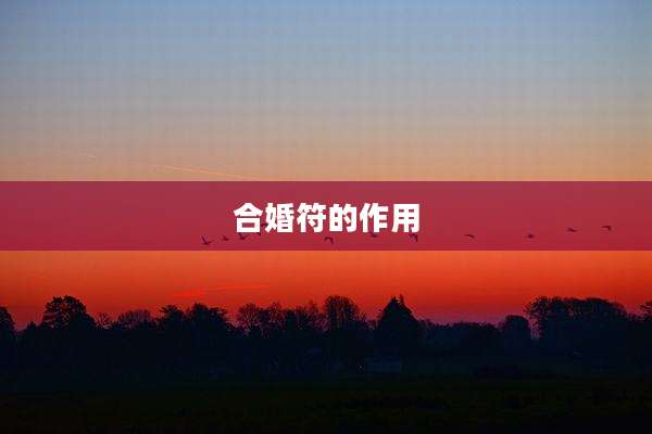 合婚符的作用