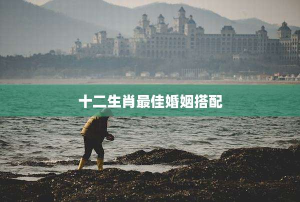 十二生肖最佳婚姻搭配