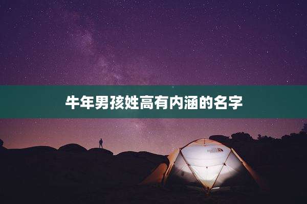 牛年男孩姓高有内涵的名字