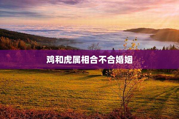 鸡和虎属相合不合婚姻