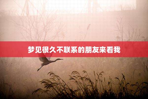 梦见很久不联系的朋友来看我
