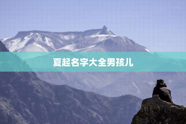 夏起名字大全男孩儿