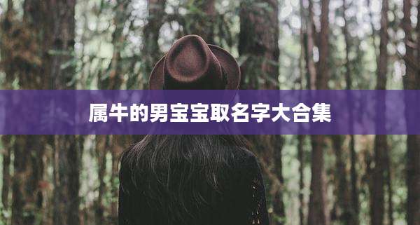 属牛的男宝宝取名字大合集