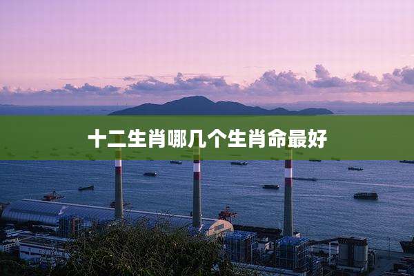十二生肖哪几个生肖命最好