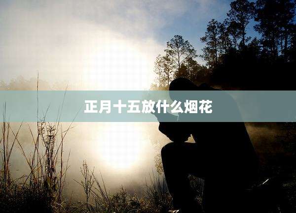 正月十五放什么烟花