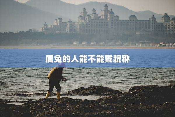 属兔的人能不能戴貔貅