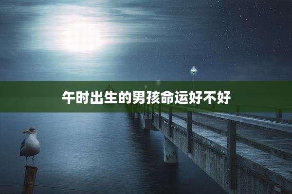 午时出生的男孩命运好不好