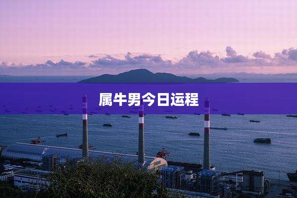 属牛男今日运程