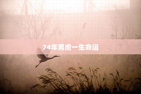 74年男虎一生命运