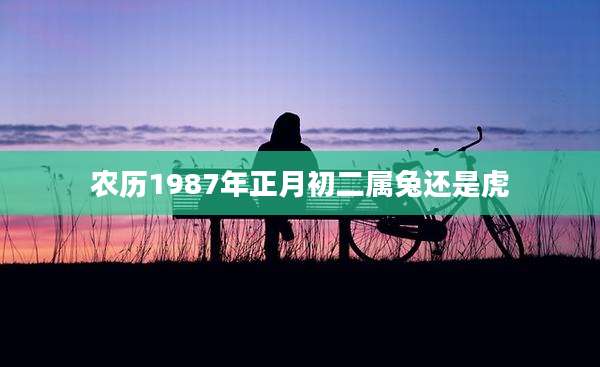 农历1987年正月初二属兔还是虎