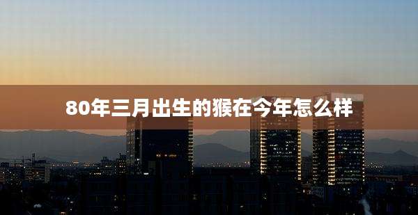 80年三月出生的猴在今年怎么样