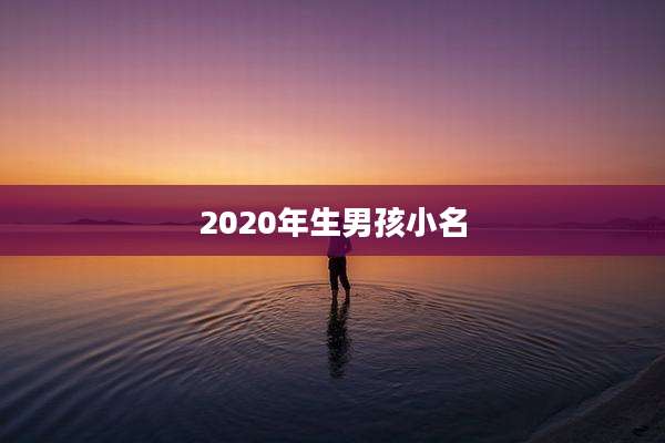 2020年生男孩小名