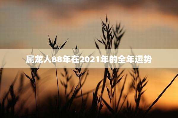 属龙人88年在2021年的全年运势