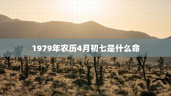 1979年农历4月初七是什么命