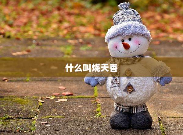 什么叫烧天香