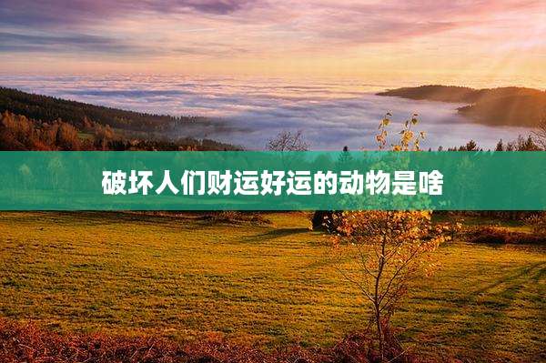 破坏人们财运好运的动物是啥