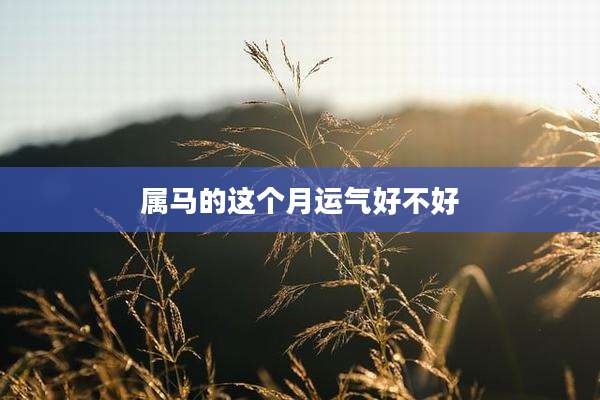 属马的这个月运气好不好