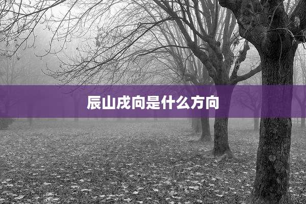 辰山戌向是什么方向