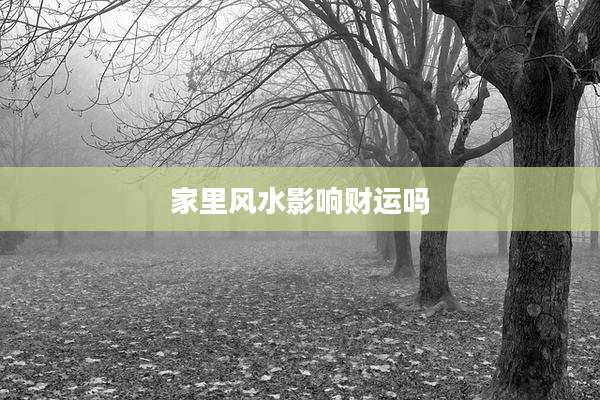 家里风水影响财运吗