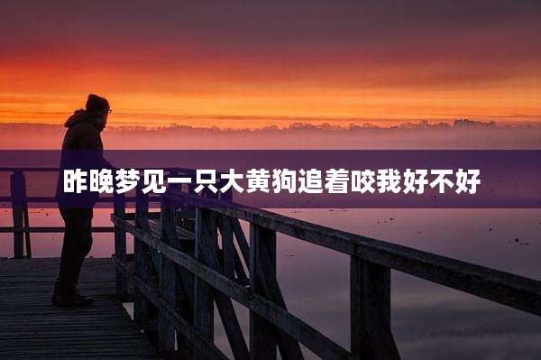 昨晚梦见一只大黄狗追着咬我好不好