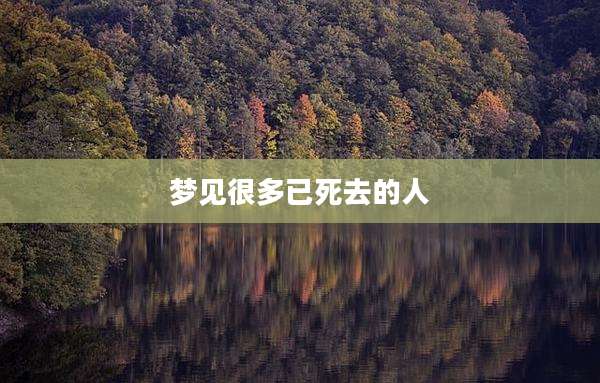 梦见很多已死去的人