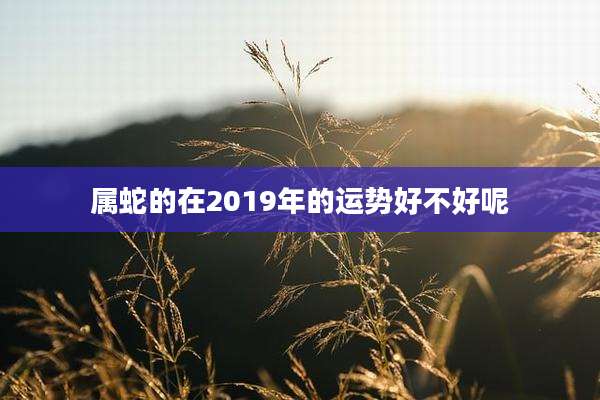 属蛇的在2019年的运势好不好呢