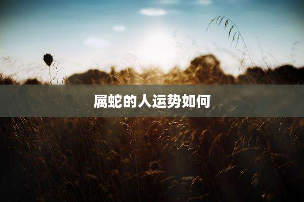 属蛇的人运势如何