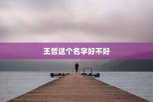 王哲这个名字好不好