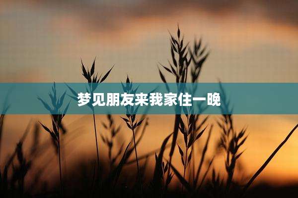 梦见朋友来我家住一晚