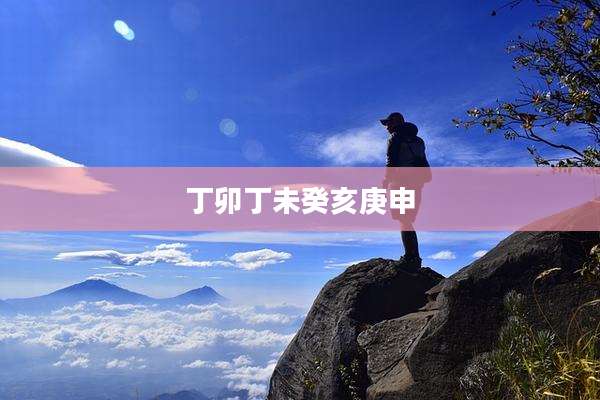 丁卯丁未癸亥庚申
