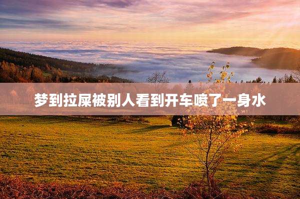 梦到拉屎被别人看到开车喷了一身水