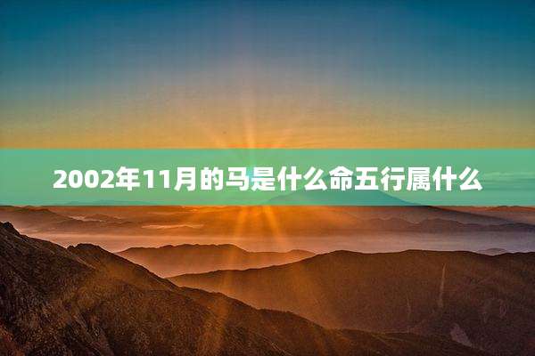 2002年11月的马是什么命五行属什么