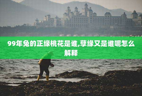 99年兔的正缘桃花是谁,孽缘又是谁呢怎么解释