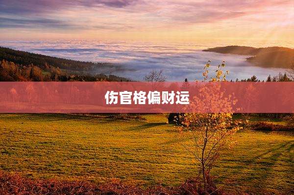 伤官格偏财运