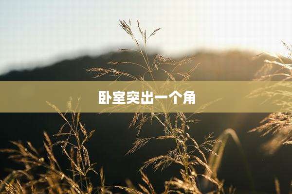 卧室突出一个角