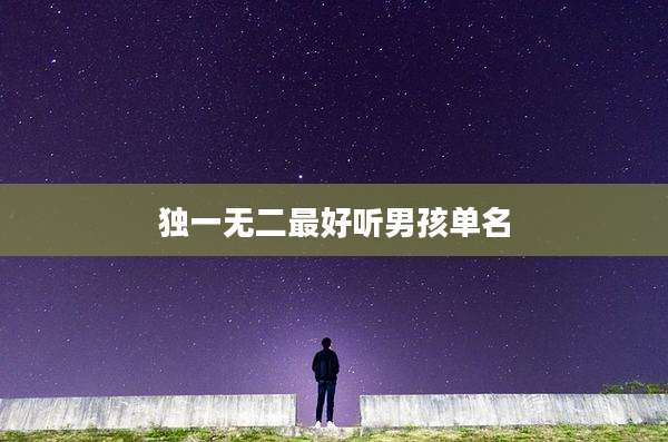 独一无二最好听男孩单名