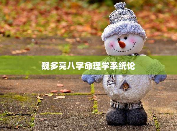 魏多亮八字命理学系统论