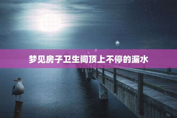 梦见房子卫生间顶上不停的漏水