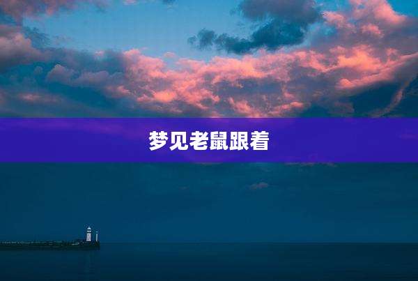 梦见老鼠跟着