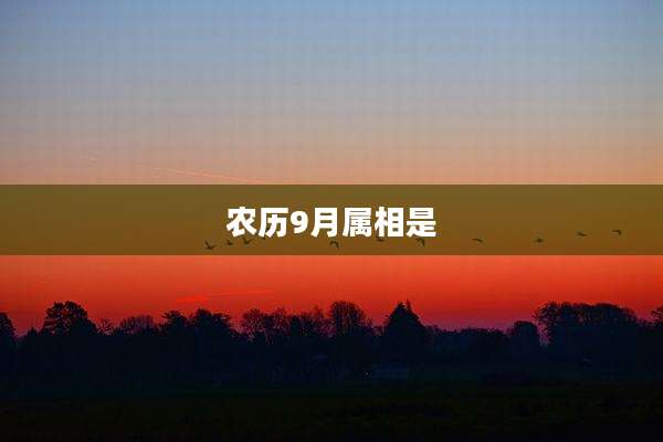 农历9月属相是