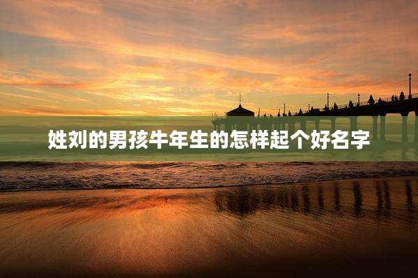 姓刘的男孩牛年生的怎样起个好名字
