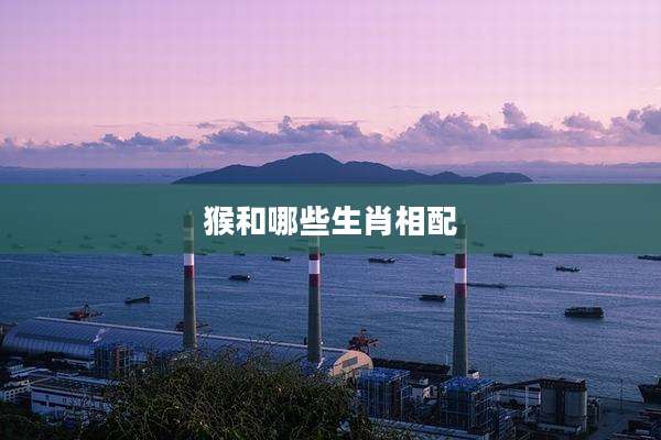 猴和哪些生肖相配