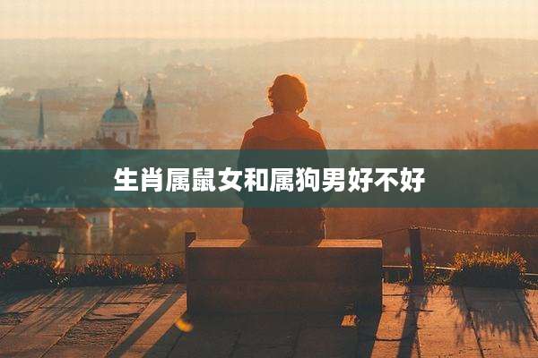 生肖属鼠女和属狗男好不好