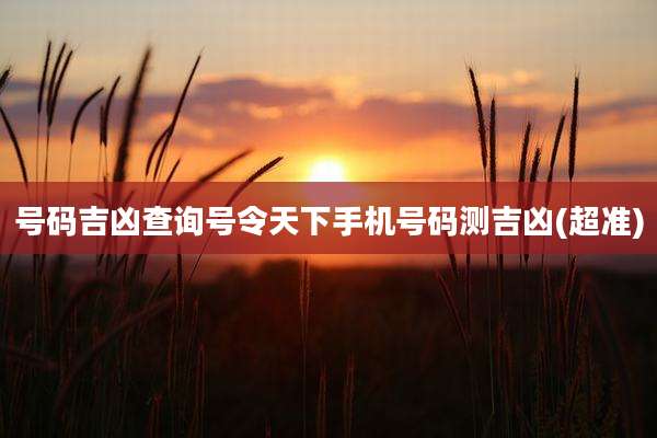 号码吉凶查询号令天下手机号码测吉凶(超准)