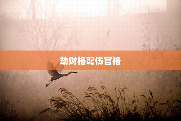 劫财格配伤官格