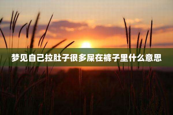 梦见自己拉肚子很多屎在裤子里什么意思