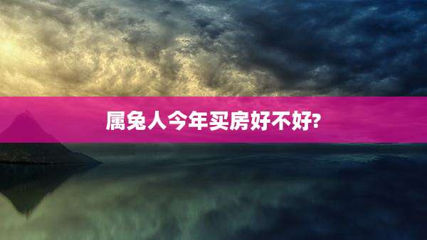 属兔人今年买房好不好?