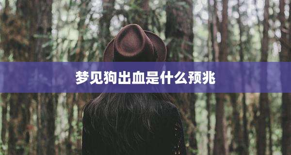 梦见狗出血是什么预兆