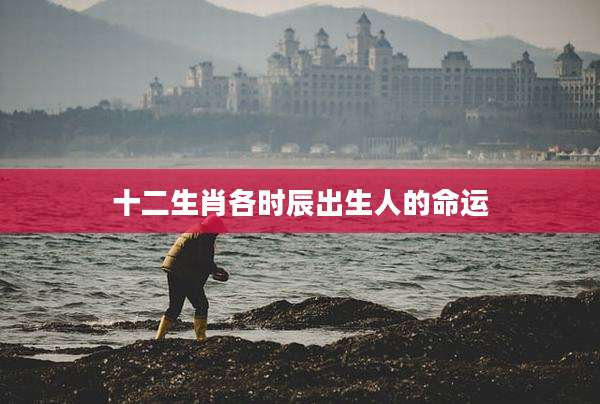 十二生肖各时辰出生人的命运